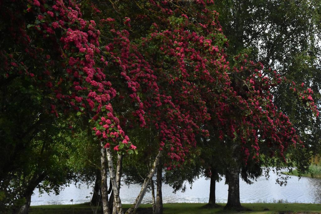 Ilmatsalu Motell Exteriér fotografie