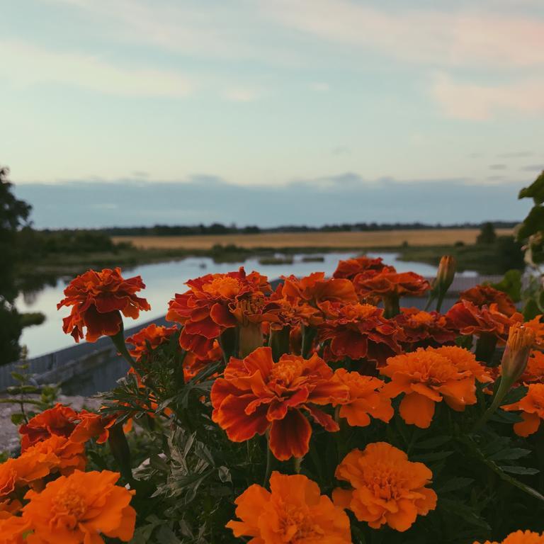 Ilmatsalu Motell Exteriér fotografie
